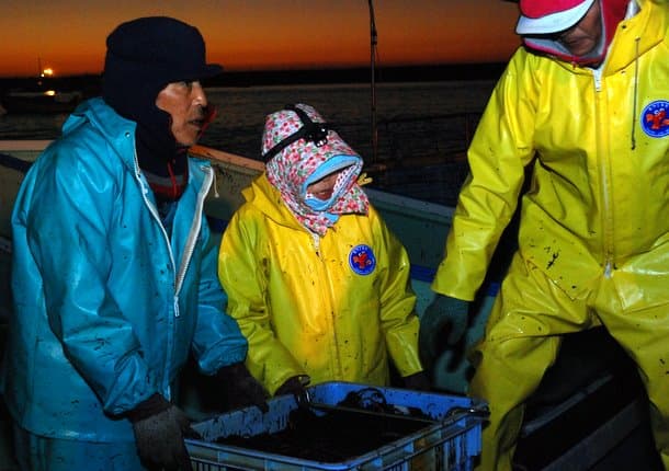 ariake nori farmers, 3 a.m.